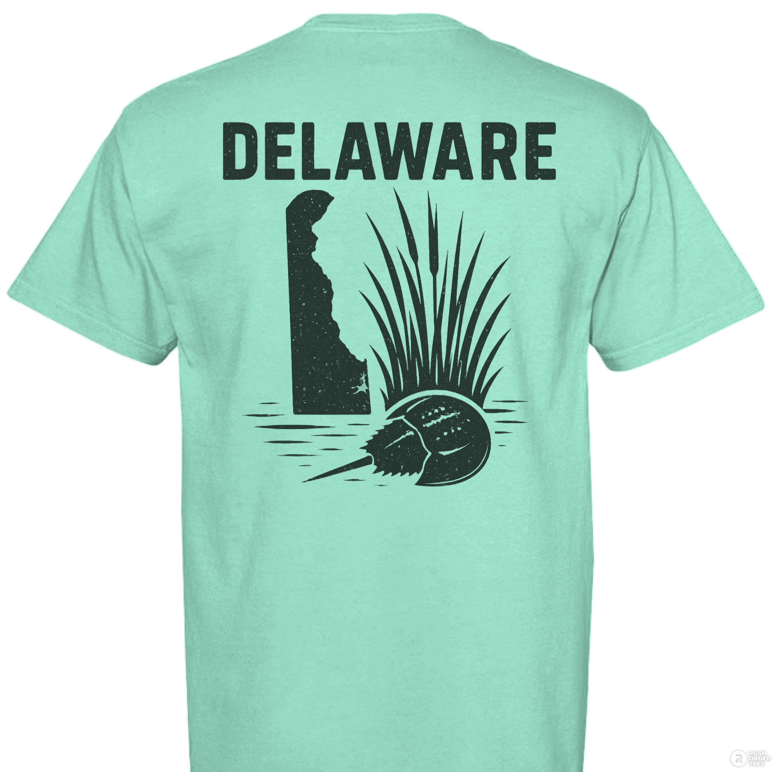 ISLAND REEF - BACK